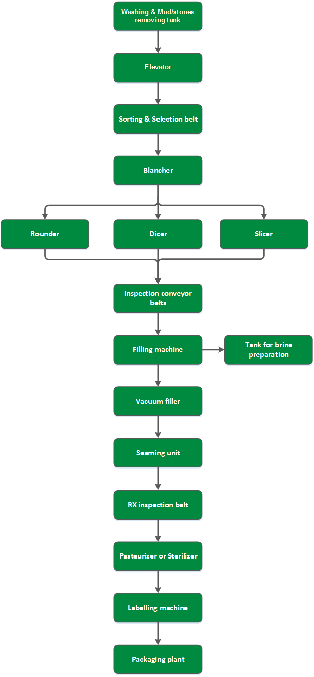 Vegetable processing plant